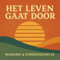 Het Leven Gaat Door