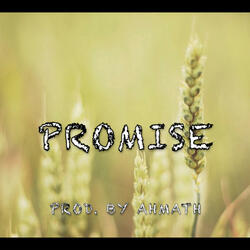 Promise