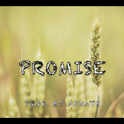 Promise