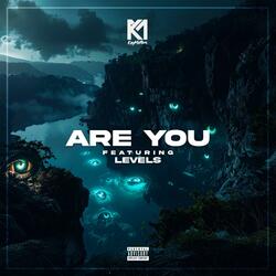 Are You (feat. Levels_Artist)