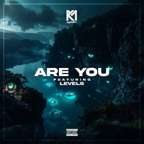 Are You (feat. Levels_Artist)