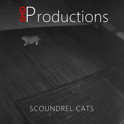 Scoundrel Cats