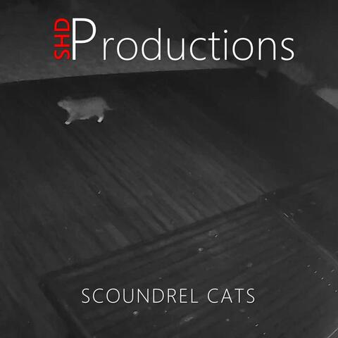 Scoundrel Cats