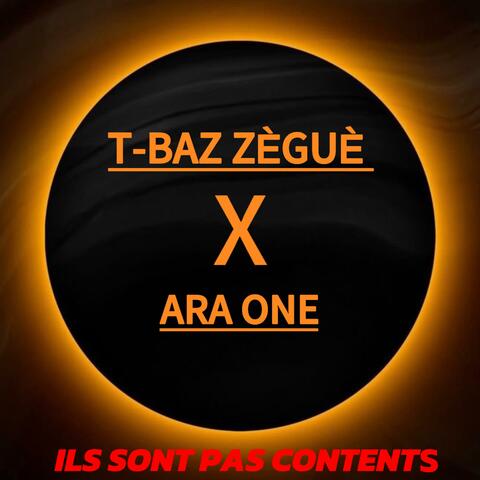 Ils sont pas contents (feat. Ara One)