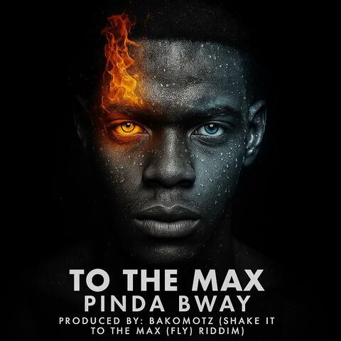To The Max (Shake It To The Max (FLY) Riddim)
