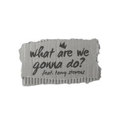 WHAT ARE WE GONNA DO? (feat. Tamy Stevens)