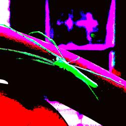 Massive Creature from a Far Away Planet (feat. Emily Dolan Davies)