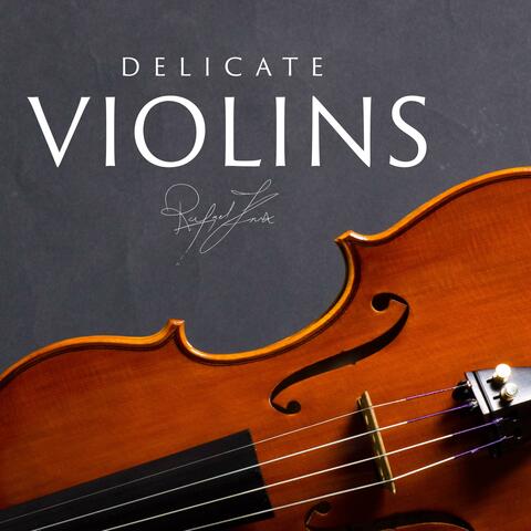 Delicate Violins