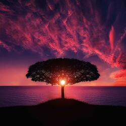 Luminous