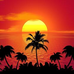 Into The Sunset