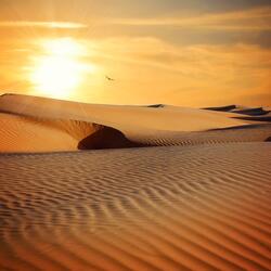Secrets Of The Desert 2 (Scorpion)