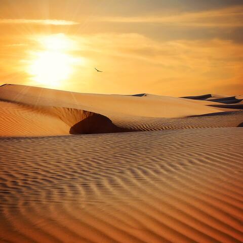 Secrets Of The Desert 2 (Scorpion)