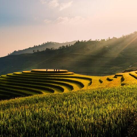 Golden Land (Flute)
