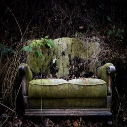 Overgrown