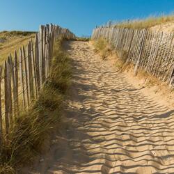 The Path To The Sea
