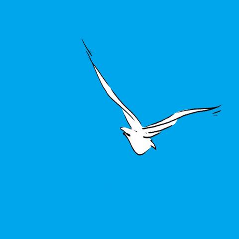 Bird In A Blue Sky