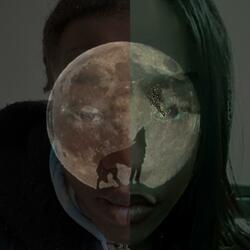 Affectionate Kitties +Boys