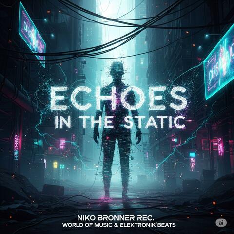 Echoes in the Static