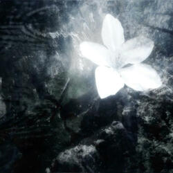 sorrow (feat. creepies)