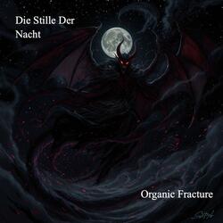 Die Stille Der Nacht