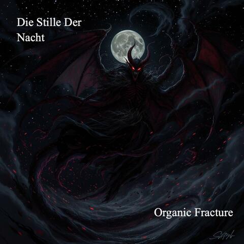 Die Stille Der Nacht