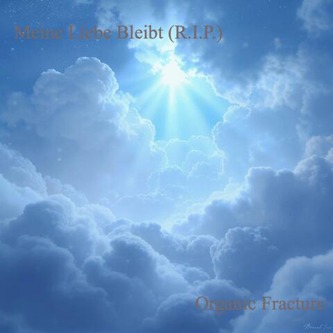 Meine Liebe Bleibt (R.i.P.)