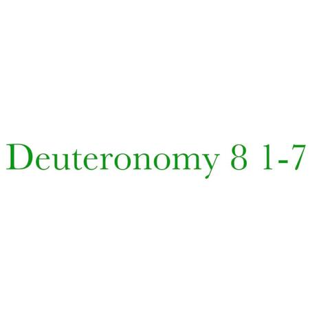 Deuteromony 8 1-7 (Radio Edit)