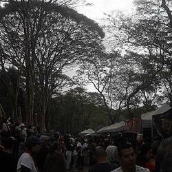 seu cabelo na minha mão (feat. souljahpino)