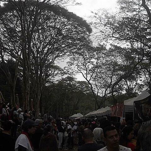 Allface (Século VIII)