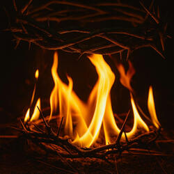 "Crown of Sorrow, Smile of Flame" (x(22)x)