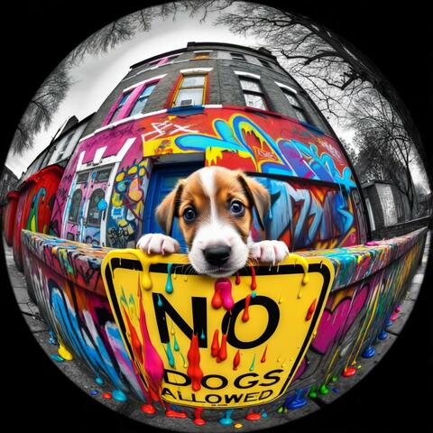 Bark the Street