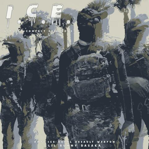ANTI ICE AURAL ASSAULT WEAPON