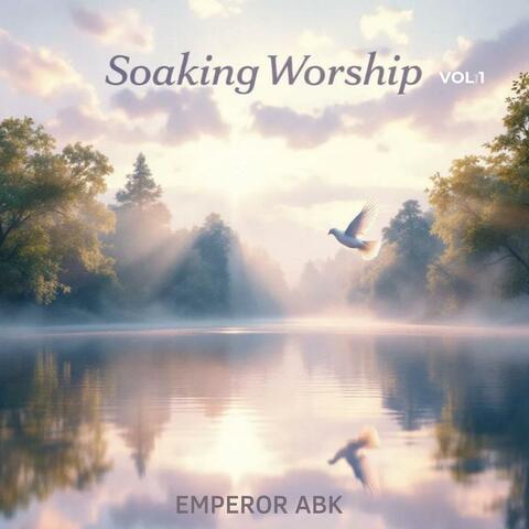 Soaking Worship Volume 1 (Album)