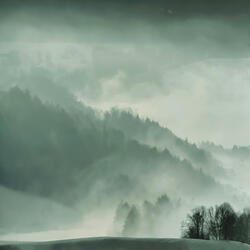 animal spirits `raw ambient take`