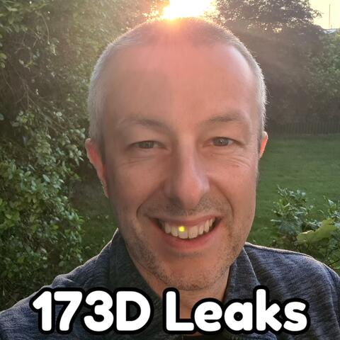 173D Leaks