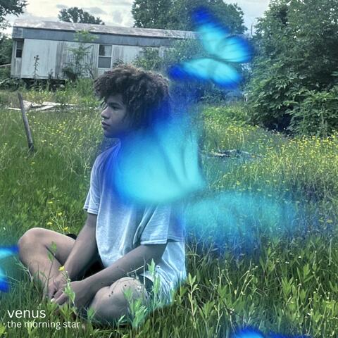 venus: the morning star