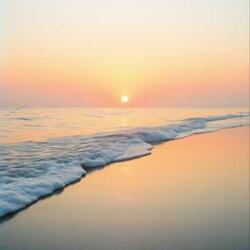 Perdón por amarte así