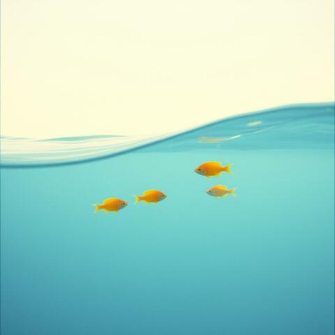 Side by Side