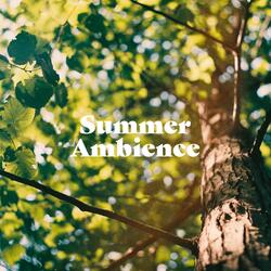 Summer Ambience (Korea Cicadas Sounds)
