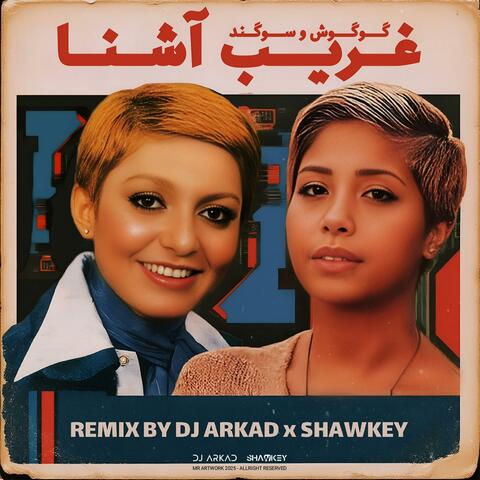Gharibe Ashena (feat. Shawkey)