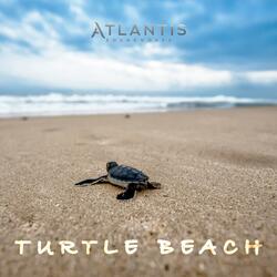 Turtle Beach