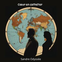 Coeur en cathétater