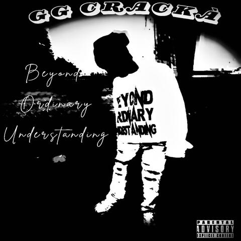 Beyond Ordinary Understanding