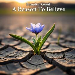 A Reason To Believe