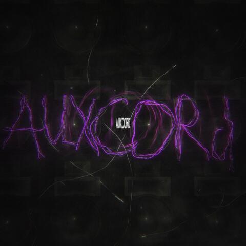 AUXCORD