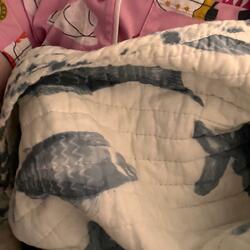 Excitement (Instrumental Version )