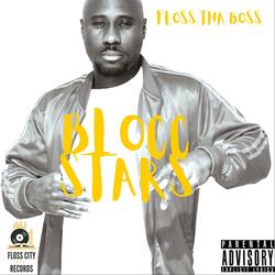 Floss flow Pt. 2 (Radio Edit)