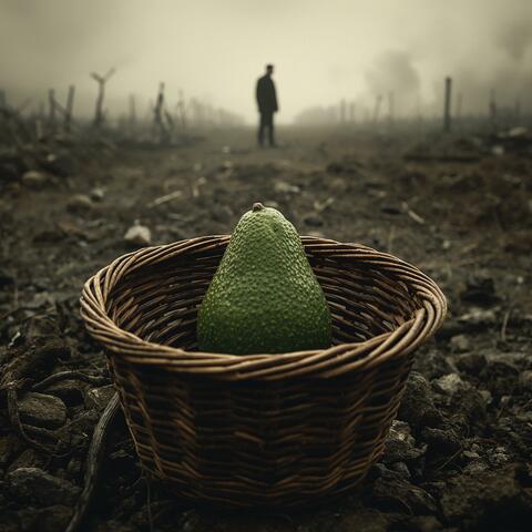 Lost Avocado