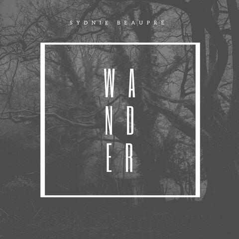 Wander Down Dark Paths (Forbidden Love)