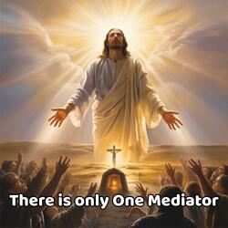 There is only One Mediator